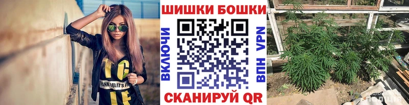 Канабис план  цены наркотик  blacksprut ссылка  Приозерск 